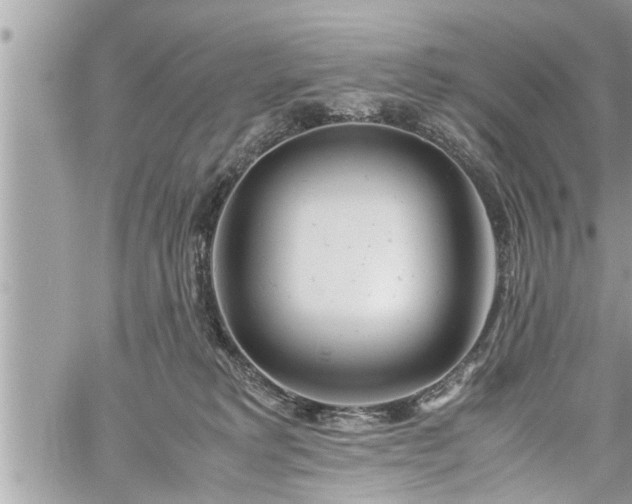 X0000060260229200511010921