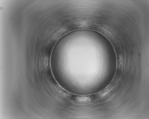 X0000060260230200511010921