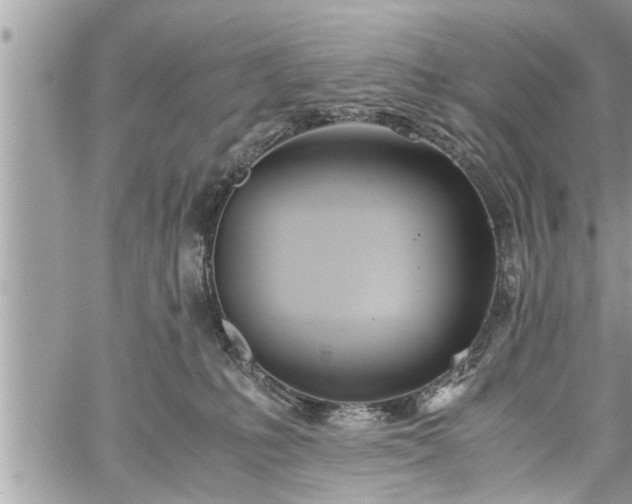 X0000060260231200511010921