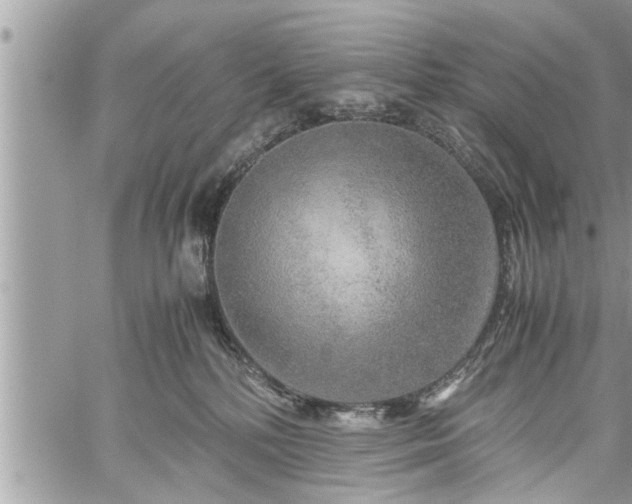 X0000060260232200511010921