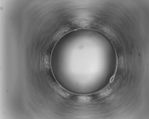 X0000060260234200511010921