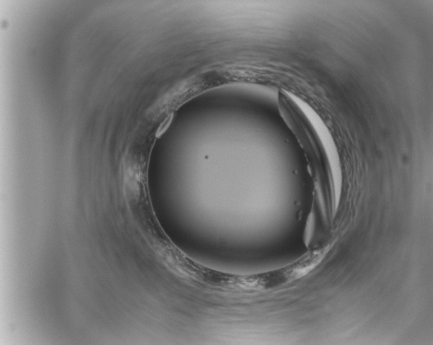 X0000060260235200511010921