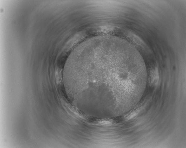 X0000060260236200511010921