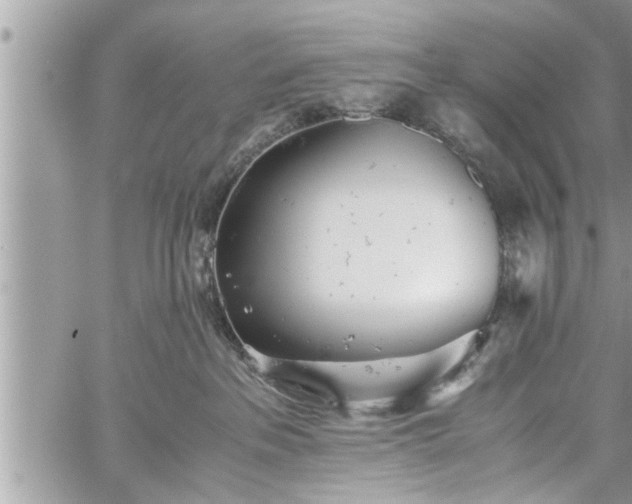 X0000060260237200511010921