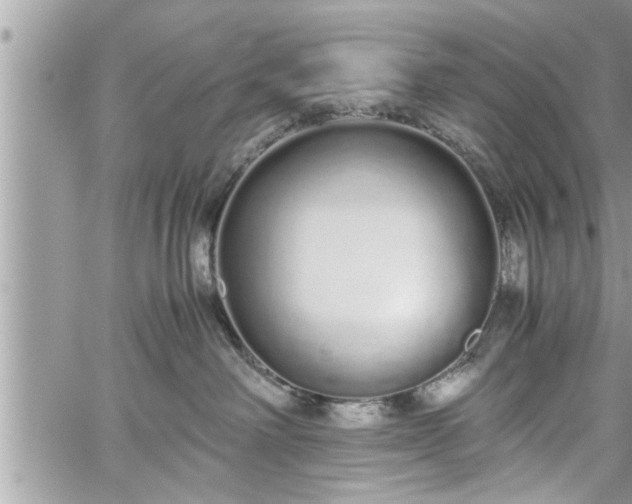 X0000060260238200511010921