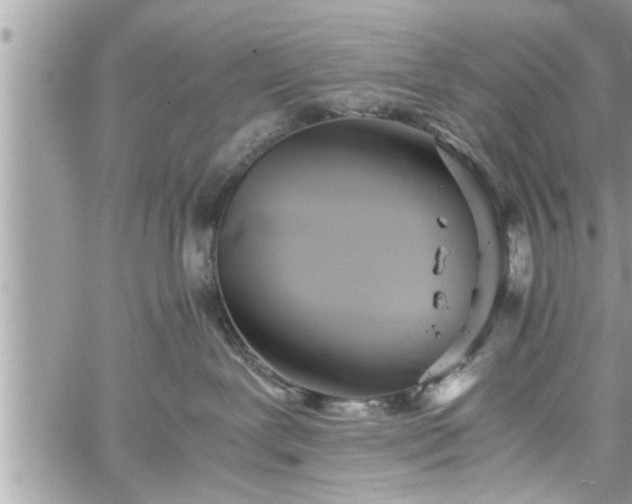 X0000060260239200511010921