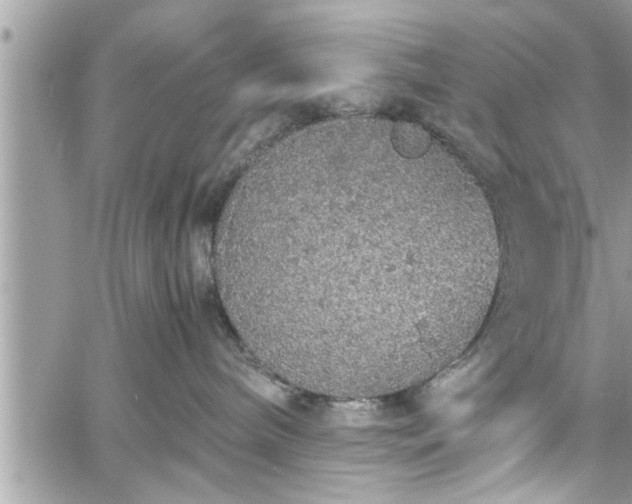 X0000060260240200511010921