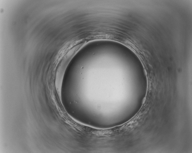 X0000060260241200511010920