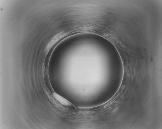 X0000060260242200511010920