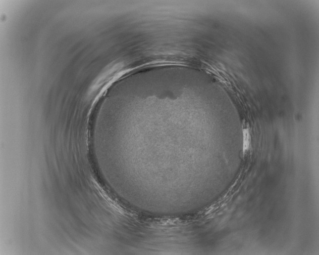 X0000060260243200511010920