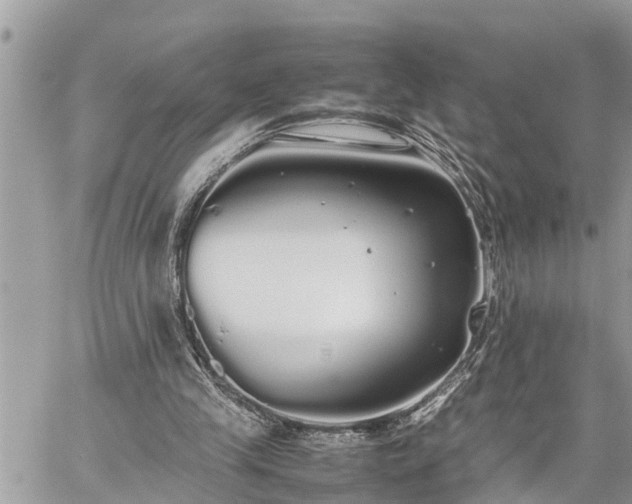 X0000060260245200511010920