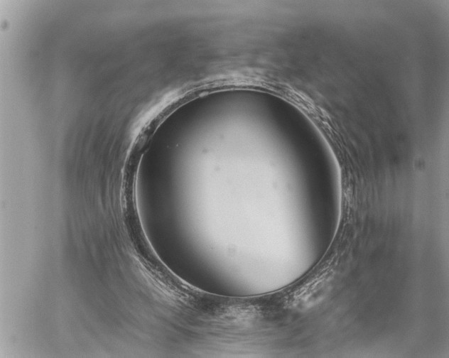 X0000060260248200511010920