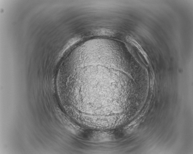 X0000060260249200511010920