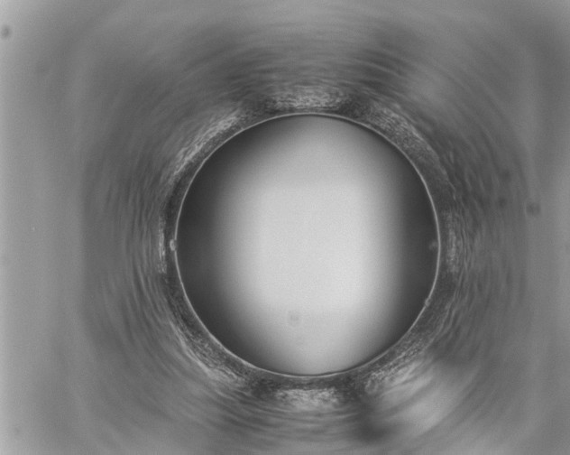 X0000060260251200511010920