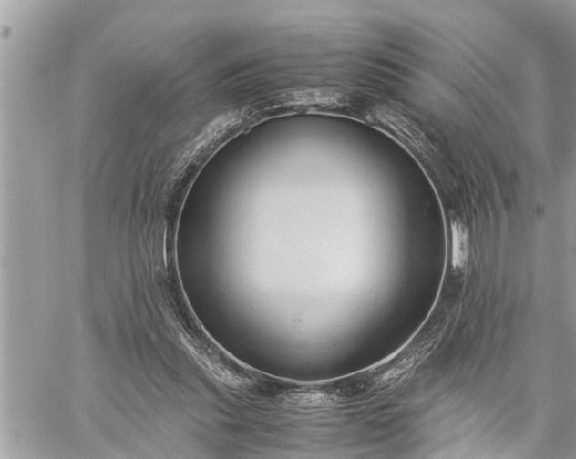 X0000060260253200511010920