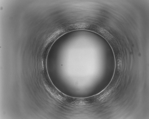 X0000060260254200511010920