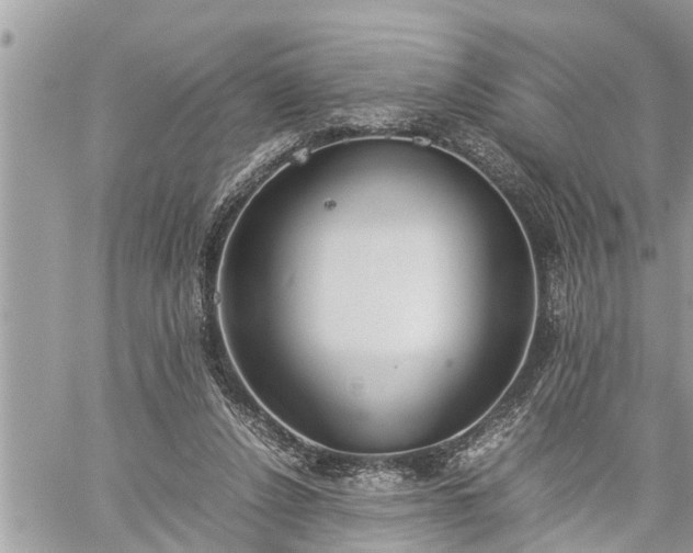 X0000060260256200511010920