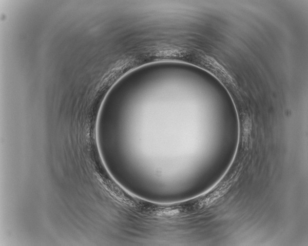 X0000060260257200511010920