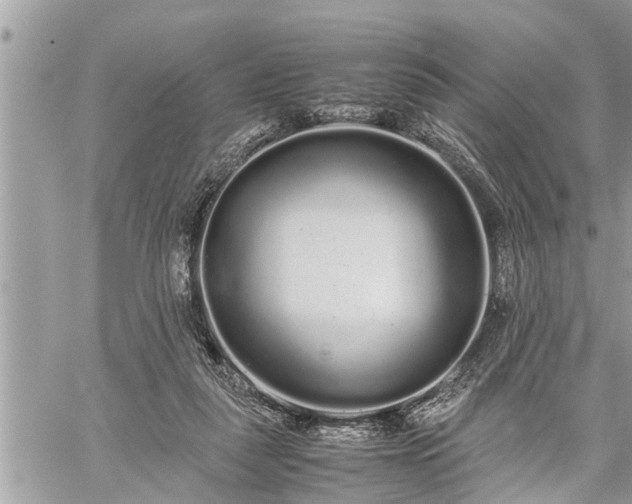 X0000060260259200511010920