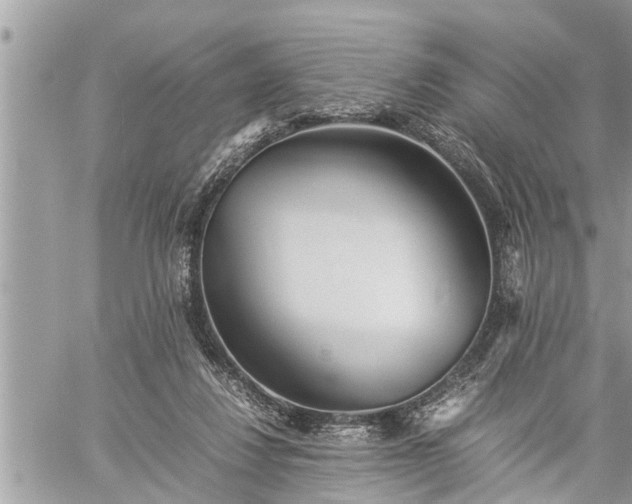 X0000060260260200511010920