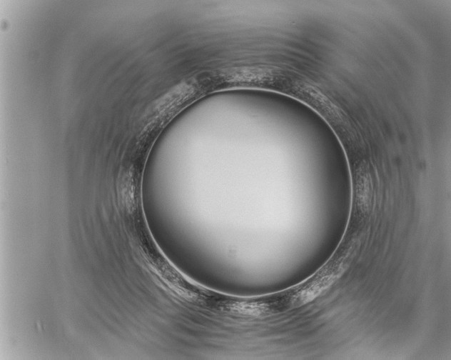 X0000060260261200511010920