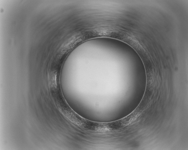 X0000060260262200511010920