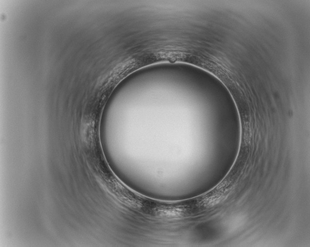 X0000060260263200511010920