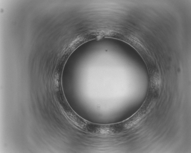 X0000060260264200511010920