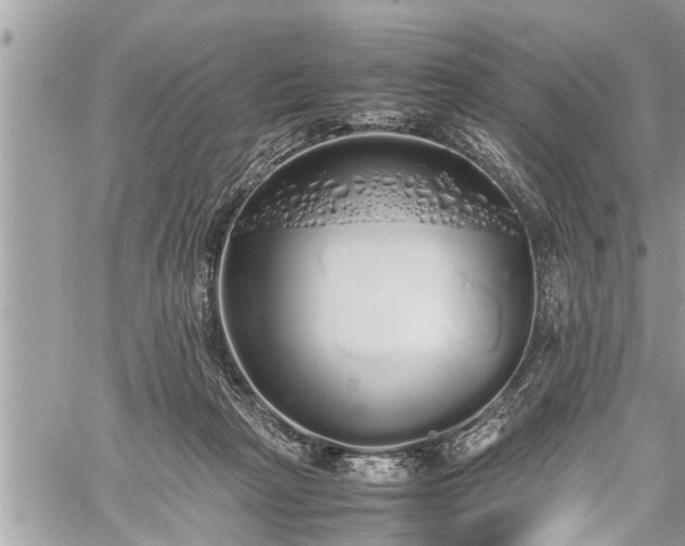 X0000060260265200511010920