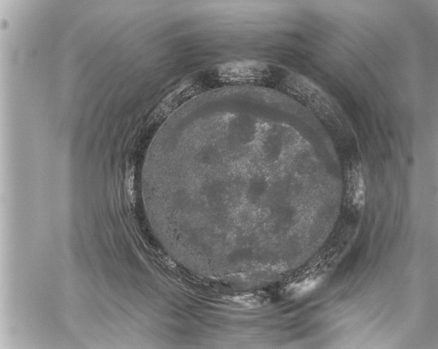 X0000060260267200511010920