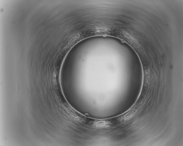 X0000060260269200511010920