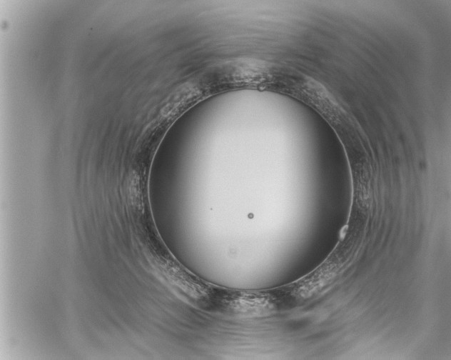 X0000060260270200511010920