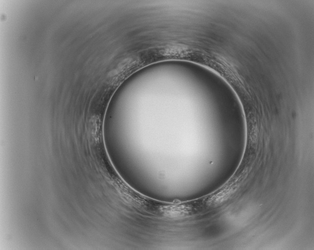 X0000060260273200511010921