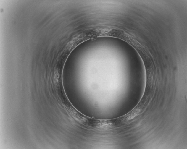 X0000060260274200511010921