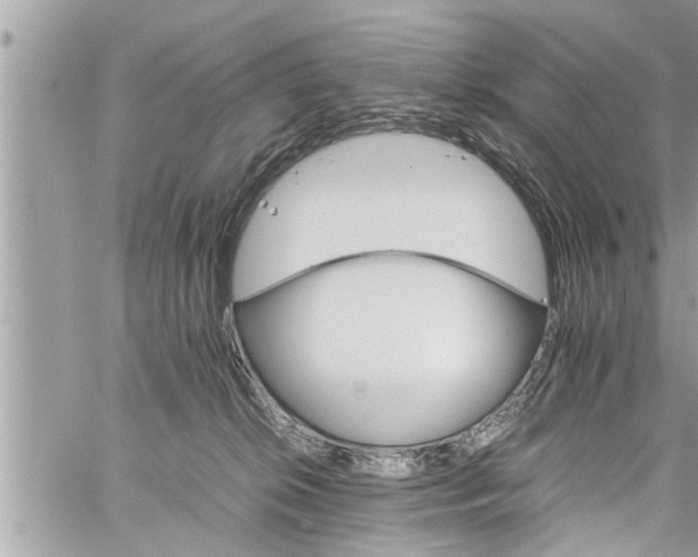 X0000060260276200511010921