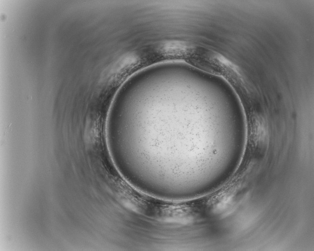 X0000060260277200511010921