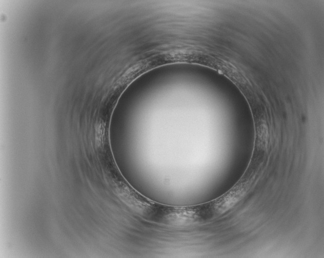 X0000060260278200511010921