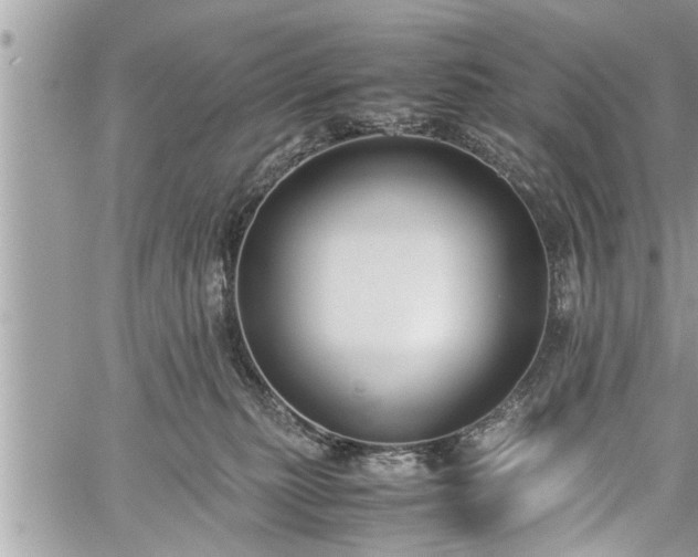 X0000060260279200511010921