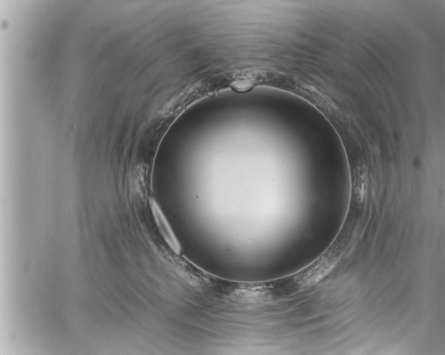 X0000060260280200511010921