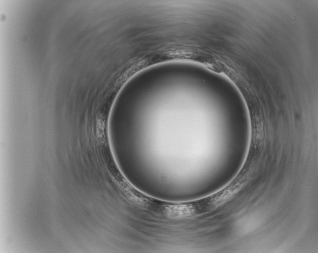 X0000060260281200511010921