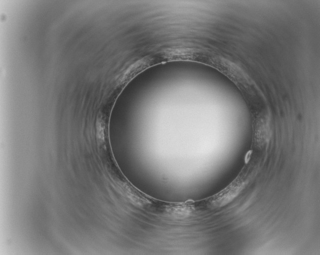 X0000060260282200511010921