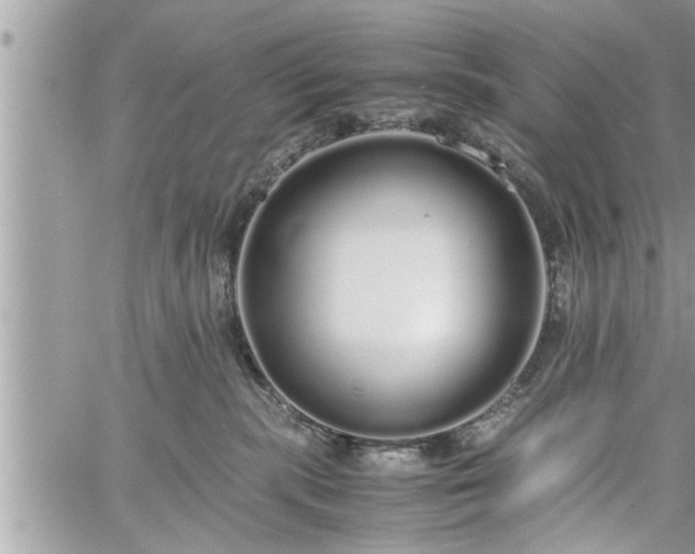 X0000060260283200511010921