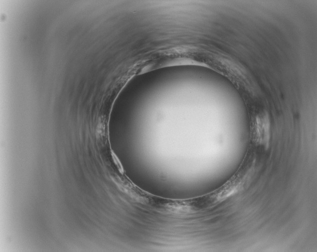 X0000060260284200511010921