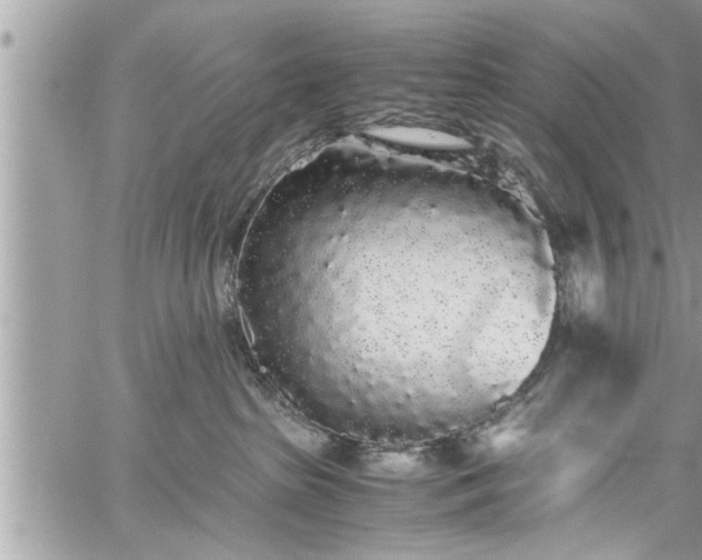 X0000060260285200511010921