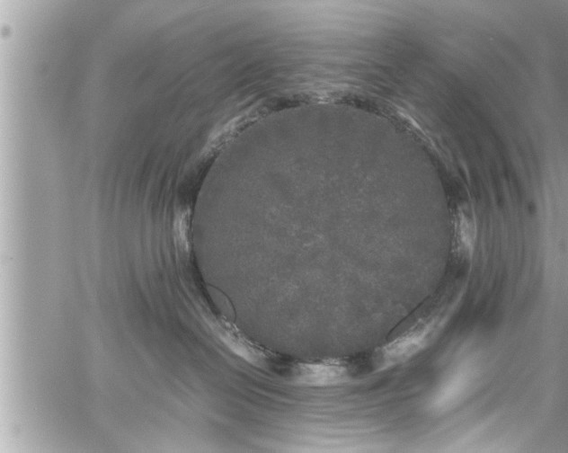 X0000060260286200511010921