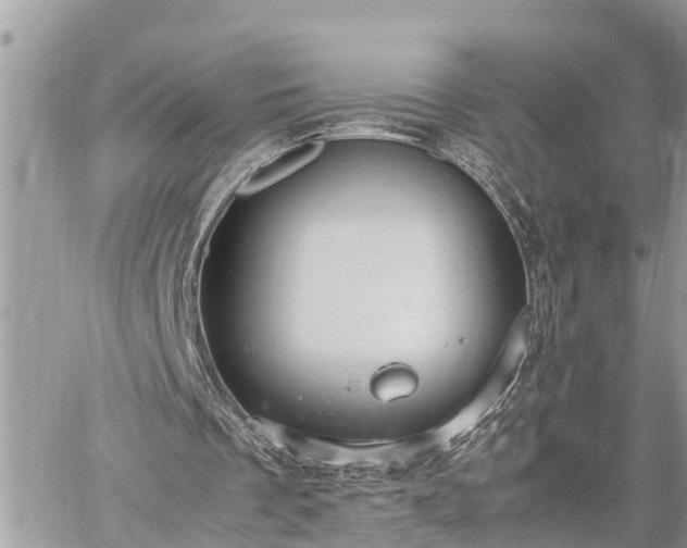 X0000060260289200511010920