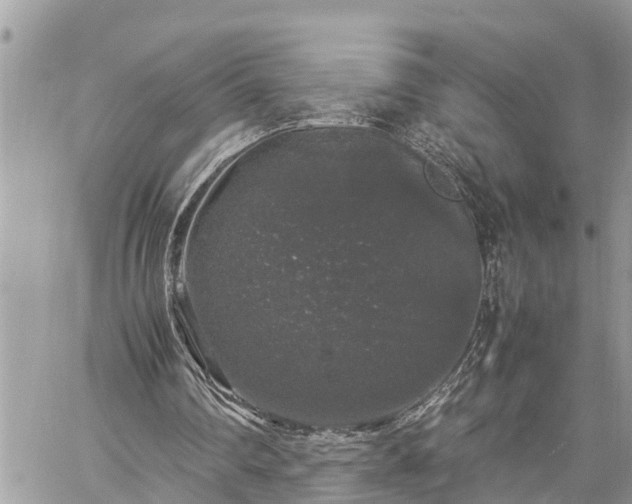 X0000060260290200511010920