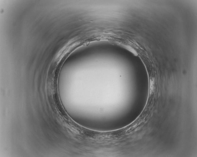 X0000060260291200511010920