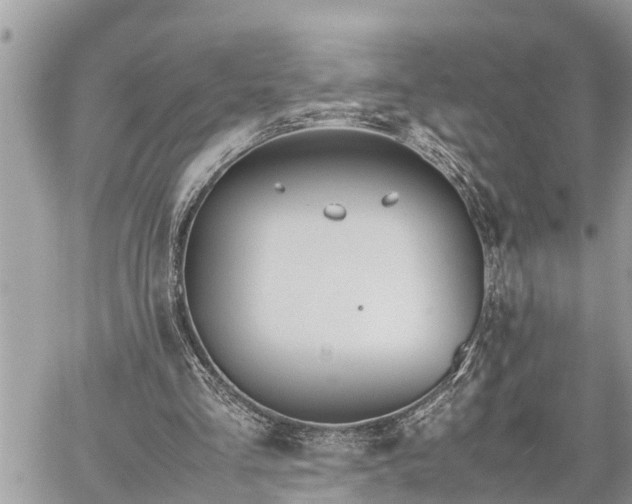 X0000060260293200511010920