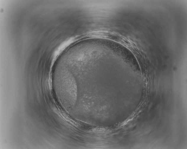 X0000060260294200511010920